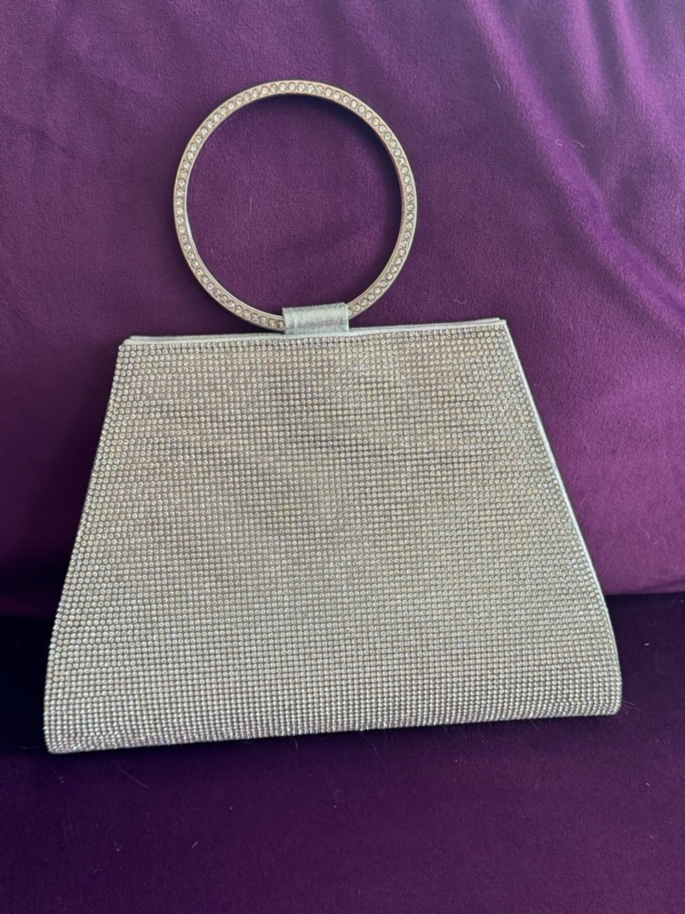 Silver Crystal Ring-Handle Evening Clutch - Women Bags